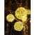 博雷奇挂树藤球灯户外防水led灯串街道亮化创意满天星圆球铜线装饰彩灯 透明20厘米 暖光