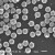 单分散二氧化硅磁性微球生物磁珠（0.05-200微米） 10毫升 10%固含量 25mg/m