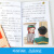【语文无障碍阅读】绿山墙的安妮正版 一二三年级课外书注音版老师故事书6-9-12周岁儿童书