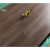 ZSTO强化复合木地板10mm 封蜡家装锁扣酒店地暖木地板强化复合地板 领样品
