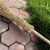兰诗 WYQ0686  大扫把竹柄铁扫把环卫工厂庭院大扫帚植物扫把 约2.2米