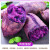 禧友鲜沙地紫薯新鲜地瓜山芋 产地直供 健康轻食 新鲜蔬菜根茎类 紫薯 9斤 大果单果200-400g