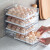 家の物语（KATEI STORY）冰箱收纳盒厨房抽屉冷冻保鲜盒鸡蛋盒水果盒大容量食品冻肉分格盒 双层抽屉鸡蛋盒32格*1