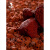 天然红火山石微酸矿物岩多肉颗粒土水草泥兰花植料铺面石鱼缸底砂 高矿火山岩3-6mm【19-20斤】