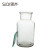SiQi 集气瓶 60ml125ml500ml玻璃气体收集瓶带磨砂玻璃片多规格玻璃化学仪器教学仪器 玻璃集气瓶250ml