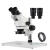 3.5X-90X大平台双目立体显微镜WF10X目镜 LED环形灯体视显微镜 (3.5X-45X)双目立体显微镜配0.5