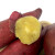 顺丰发货日本品种安纳芋蜜薯红薯地瓜新鲜红薯香薯 4.5斤 装*2箱