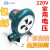 鼓风机220V炉灶鼓风机小型鼓风机烧烤助燃鼓风机定制 上海式铸铁200W+调速器 40W+调速器