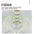 人体脊柱模型1:1成人医学正骨练习骨骼模型颈椎腰椎脊椎骨架模型 80CM高级脊柱（肌肉+彩色分区）