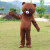 芷尧网红熊人偶服装成人熊本熊卡通玩偶服抖音熊传单布朗熊行走套装（ 定制可妮兔表情2夏天款 155-165 身高
