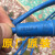 重庆煤科院YB16M-4航空插头线kj90新款井下传感器四孔防爆大头线 新款4孔线 15m