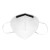 霍尼韦尔（Honeywell）口罩KN95 防雾霾防工业粉尘飞沫折叠式 H910Plus 耳带式  共50只