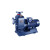 BLCH ZW直连式自吸污水泵排污泵 100ZW100-35-22 单位：台 货期：7天 7天