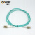 奥威尔（OWIRE）光纤跳线 LC-LC万兆多模OM3双芯光纤跳线 O-2221-10收发器尾纤 10米
