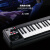罗兰（Roland）A-49 MIDI键盘 49键便携式专业键盘控制器 A-49 （49键MIDI键盘白色）