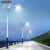 松润 4米高40W太阳能照明灯 LED大功率高杆户外路灯 亮化工程新农村道路室外灯 可定制 SOR-B111