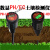 土壤酸度计ph值酸碱度水分温湿度分析仪PH计EC土壤检测仪测土仪器 KS-05
