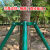 罗德力 金属支撑架固定器 镀锌钢管绿色树木防风 40管*厚度1.2mm长3m三角+抱箍