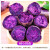 禧友鲜沙地紫薯新鲜地瓜山芋 产地直供 健康轻食 新鲜蔬菜根茎类 紫薯 9斤 大果单果200-400g