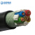 起帆电线电缆 YJV3*6+1*4平方国标电力电缆 绝缘护套硬电缆硬线 黑色1米  【50米起售】