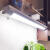 维诺亚LED日光灯管直插式日光灯插座插电式书桌家用学生宿舍节能LED灯管 [护眼白光]30CM 5瓦