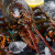 喵和渔鲜活 波士顿大龙虾 波龙加拿大进口虾类活虾大龙虾海鲜大虾 5.8-6.0斤/一只