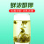 茗山生态茶茶叶 茉莉花茶广西横县茉莉龙珠浓香型花草茶罐装250g茶叶自己喝