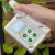 叶绿素检测仪测定仪植物营养测量计手持式叶面无损氮含量测量仪器 HM-YA型
