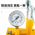 梵选 手动试压泵ppr水管打压机增压泵地暖测压泵 单位：个 40KG 