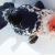 墨之瑶兰寿金鱼精品淡水冷水活鱼观赏鱼 黑兰寿（6-7厘米）1条