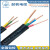起帆（QIFAN）电缆线 YJV2 3 4 5芯*1/1.5/2.5/4/6平方 铜芯黑色充电桩硬线 黑色11米起卖剪断不退换硬