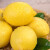 小博生鲜 四川安岳黄柠檬 尤力克大柠檬生鲜 新鲜水果 5斤装大果
