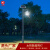 正翔ZX-TYD014-17小区别墅太阳能庭院灯4米中国风景观亮化灯具B款