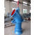 定制200ZLB10YZ轴流泵水泵不锈钢长轴式大流量灌溉高扬程铸铁议价 8YZ 200ZLB不带电机