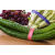蔬菜捆扎带超市捆绑带扎菜带绿色紫蓝红色生鲜印字胶带定做 带字新鲜红1.2*100米