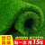 人造草坪人工假草皮塑料仿真草坪绿色地毯垫子阳台幼儿园装饰户外定做 5厘米草高精品专用足球草(50平方)
