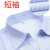 白底蓝条纹女衬衫职业银行夏装工作服短袖工装正装衬衣ol通勤 女士【短袖】蓝条纹-V XL(建议108-120斤)