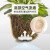 爱丽思（IRIS） 树脂花盆仿陶瓷大号植物盆阳台花卉绿植绿萝圆形加厚塑料种植盆 10号理石（口径30.8cm）