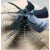 YLS冷却塔风机电机空调外电机江苏华顺达瑞波同驰三相电机380V 370-6P 380V全新线