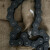 安赛瑞 滚子链 Chain 28A-1 1.5米/条  9Z01972