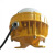 领航电器(LHDQ) LHB8620B 防爆平台灯 30W 冷光 220V IP66 ExdembⅡCT6 (计价单位：套) 黄色