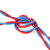 CN30 双色双绞花线双股软电线阻燃型RVS国标铜芯软线 单位：卷 （2芯1.0平方100米）红白