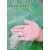 塑料薄膜整卷加厚PE膜透明防雨布防尘遮盖高密度包装膜防水塑料布 厚度14S【0.14毫米】整卷图片参考图片 1.5m