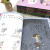 儿童哲学智慧书全集（套装全9册）(中国环境标志产品绿色印刷) 课外阅读 暑期阅读 课外书