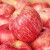 烟台苹果山东烟台红富士苹果 时令苹果水果 整箱新鲜水果应季水果生鲜礼盒 10斤装 净重8.5斤+ 单果160g+