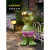 澳颜莱太阳能青蛙灯户外庭院动物摆件花园院子装饰灯景观布置防水小夜灯 守望的小卫士