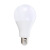 泓瑞沣 LED节能灯泡 电灯泡节能灯泡 18W 单位：个