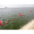 海洋航道大浮标球河道湖泊浮球浮漂安全警示标志水位渔网塑料浮球憬芊 粉红色 25cm串心白色生 其他