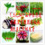 大白菜萝卜玉米香菜向日葵辣椒茄子菠菜黄瓜青菜西瓜莴苣蔬菜种子 大叶茼蒿原装