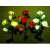 穗之语户外花园庭院草坪阳台饰灯太阳能玫瑰花灯仿真花绿植氛围地插灯 三头花款-红玫瑰